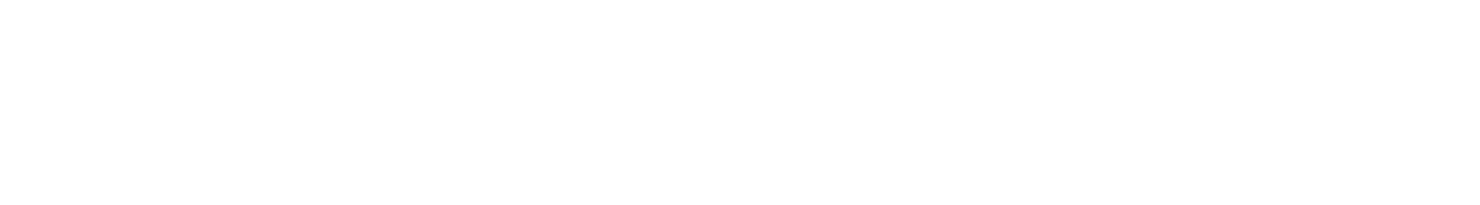 Holland’s Suzuki Cars