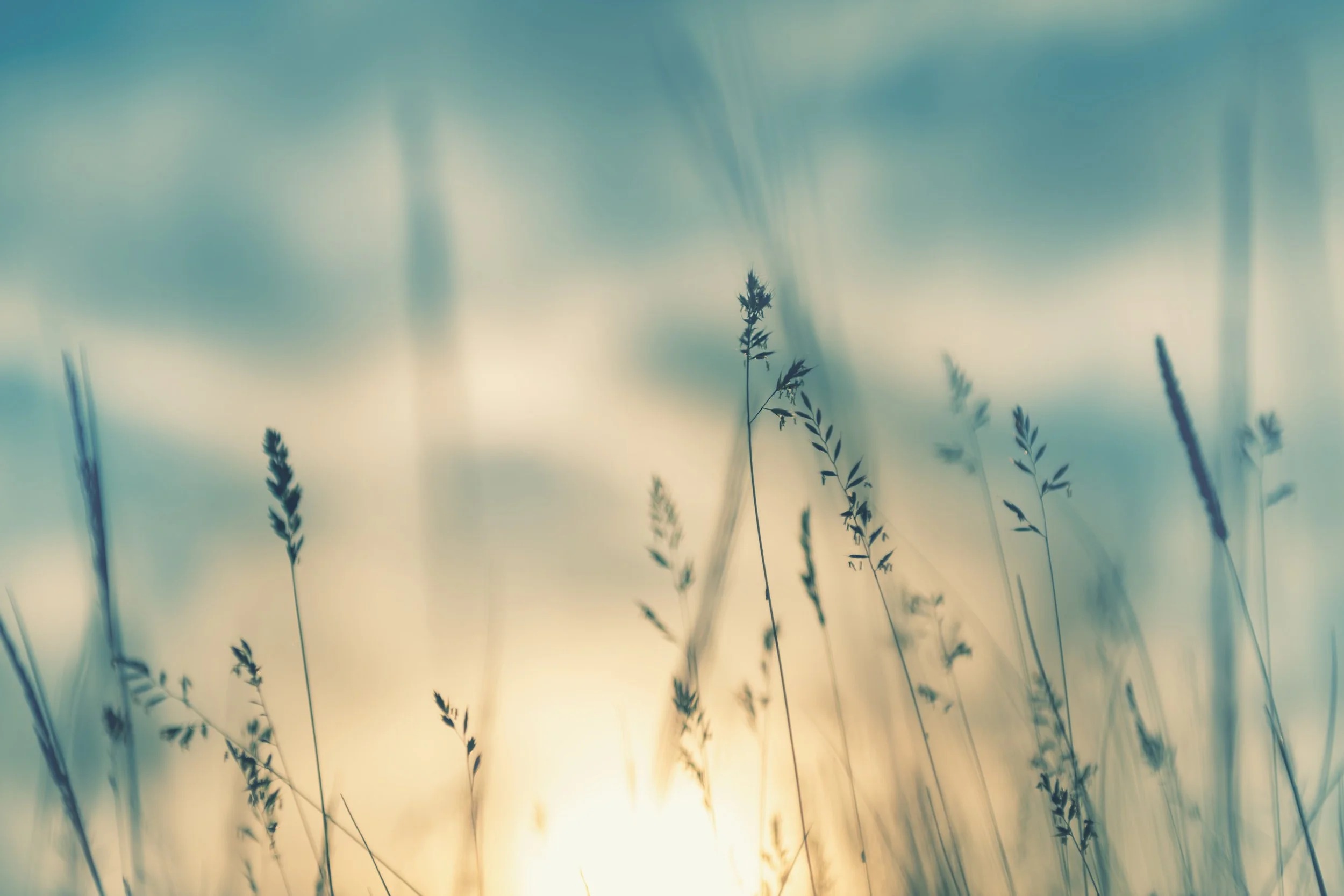 Waiuku Funeral Services