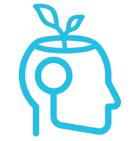 Auckland Counselling