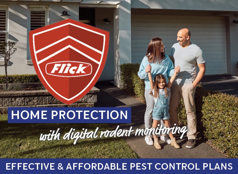 Flick Pest Control Wellington