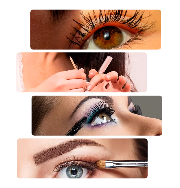 Eyelash And Beauty
