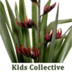Kids Collective Paeroa