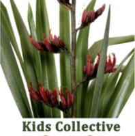 Kids Collective Paeroa