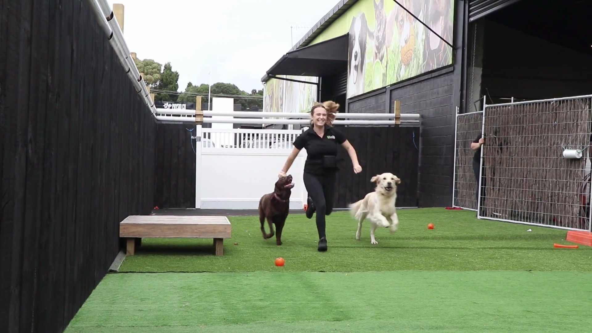 Pets In The City