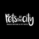 Pets In The City