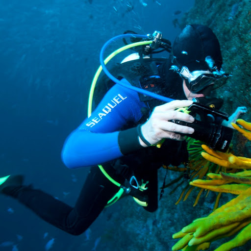 Seaquel Wetsuits