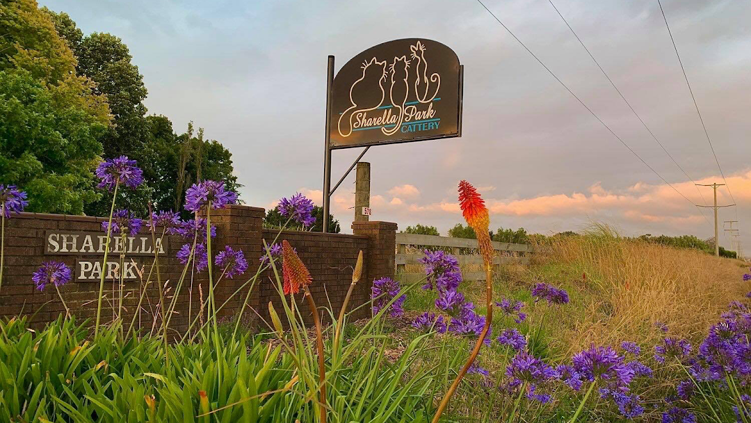 Sharella Park Cattery