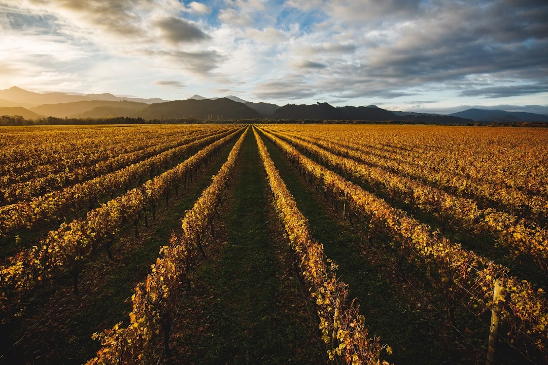 Whitehaven Wine Company