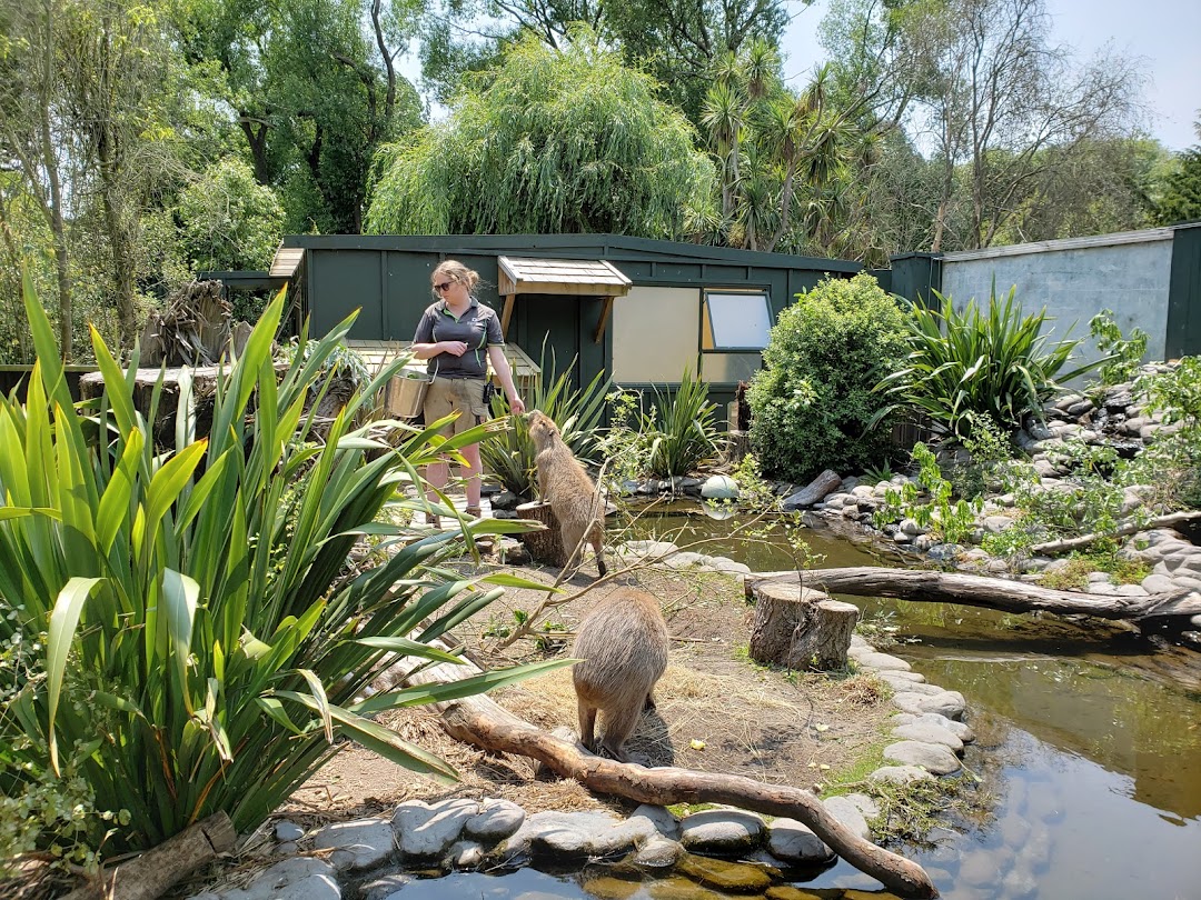 Willowbank Wildlife Reserve