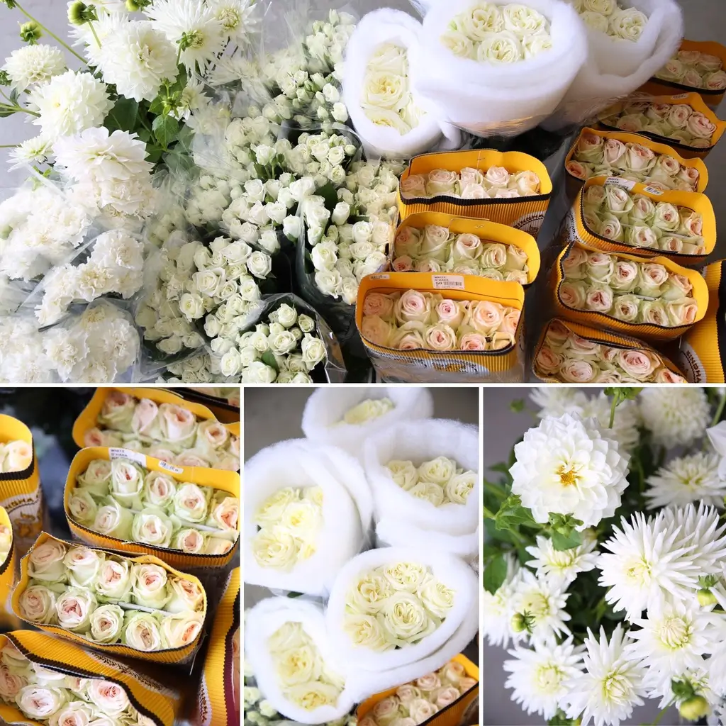 Flowers Flower