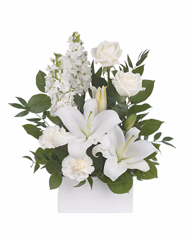 Fresh Flowers and Gifts NZ