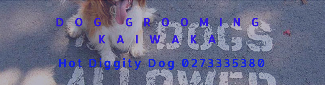 Dog Grooming Kaiwaka