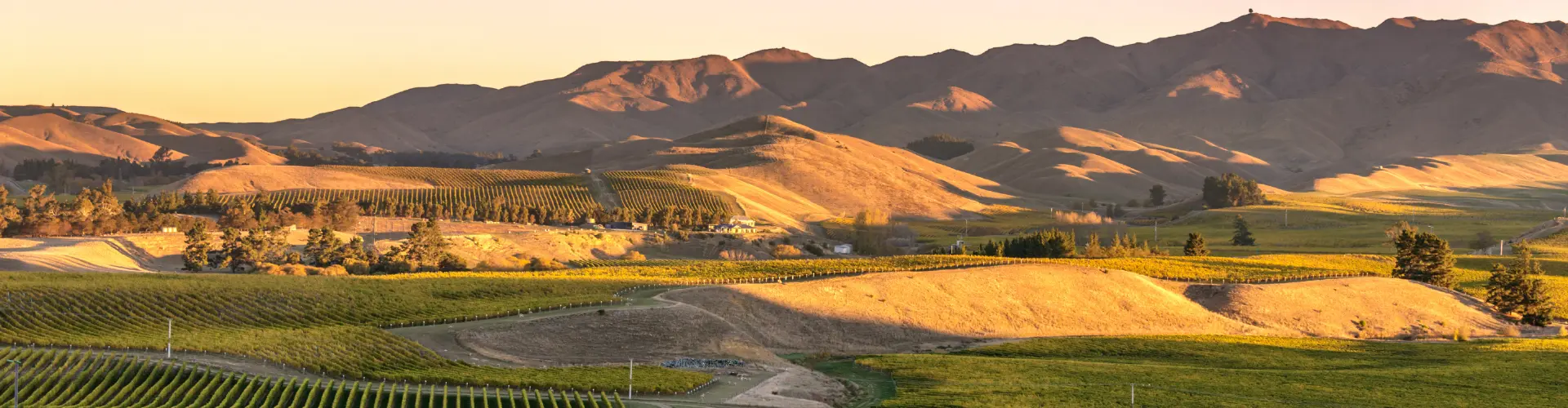 Craigs Investment Partners Blenheim