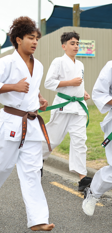 Karate Napier