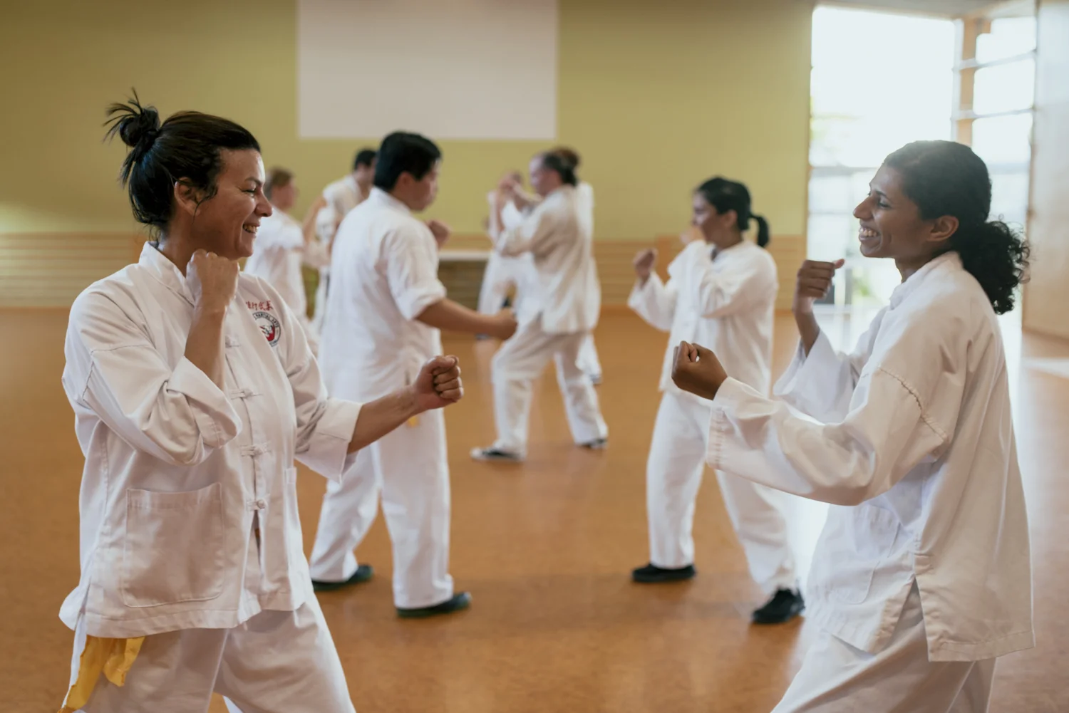 Chans Martial Arts Blenheim