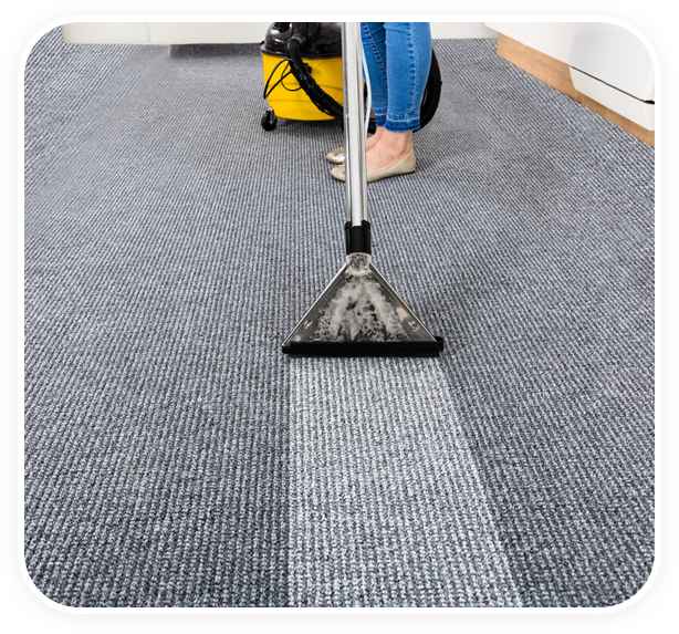 Perfect Dry – Carpet Cleaning