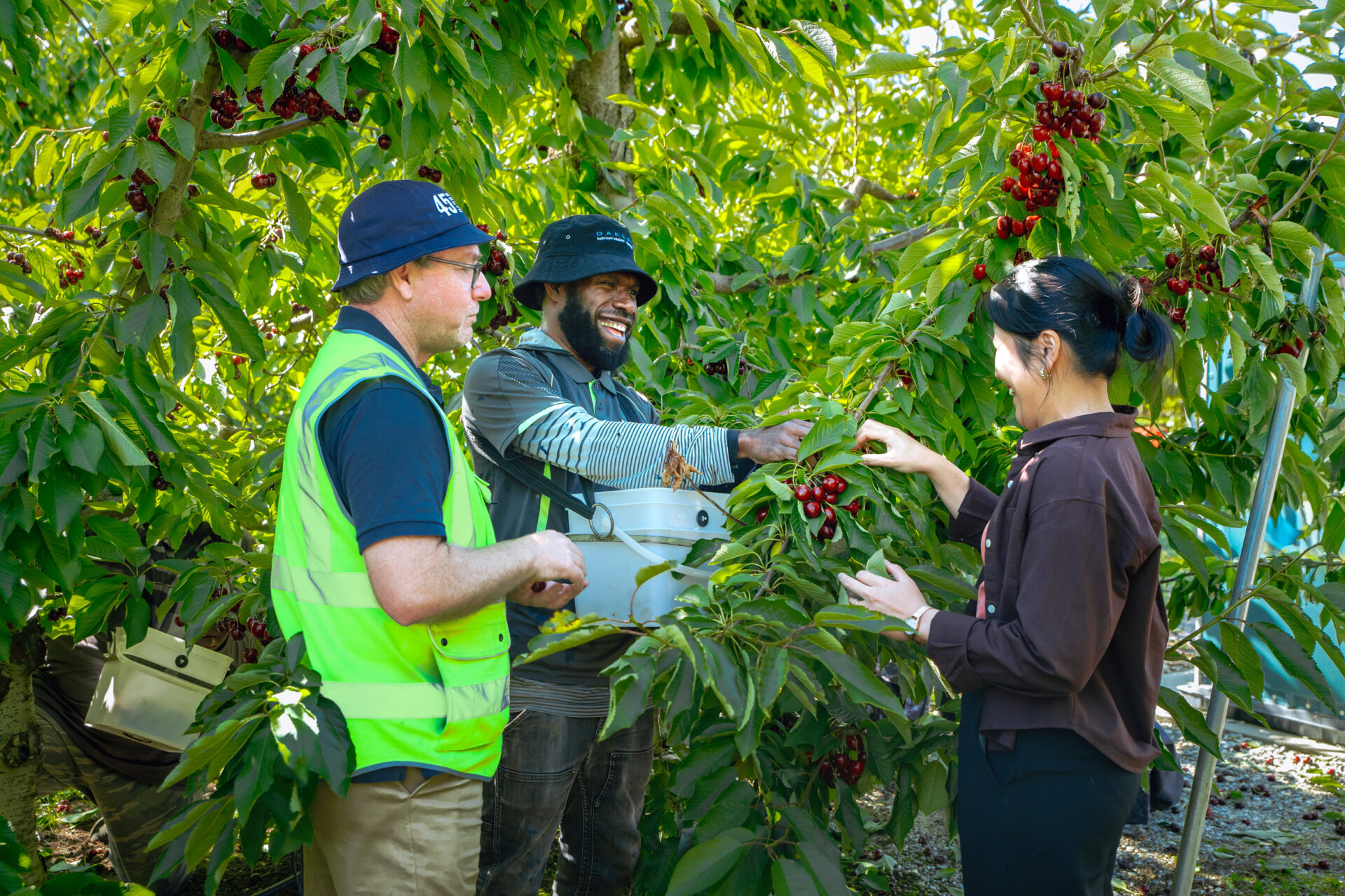 Seasonal Solutions Cooperative Limited