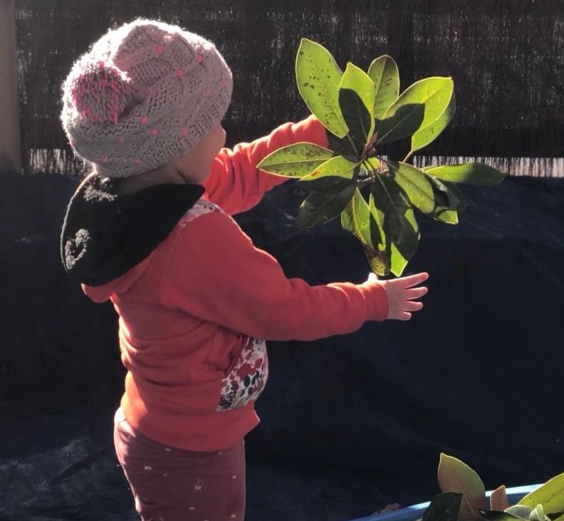 Cuddly Kiwis Childcare – Papatoetoe