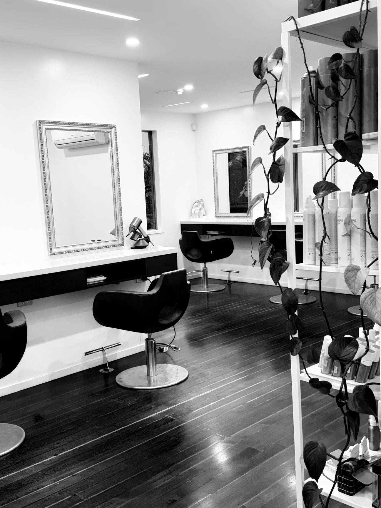 Albert’s Hair Salon