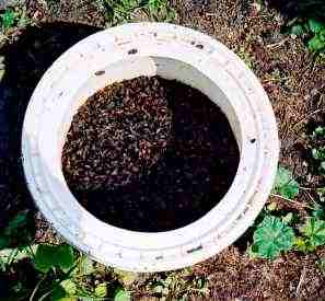 Gordys Flytrap Fitting