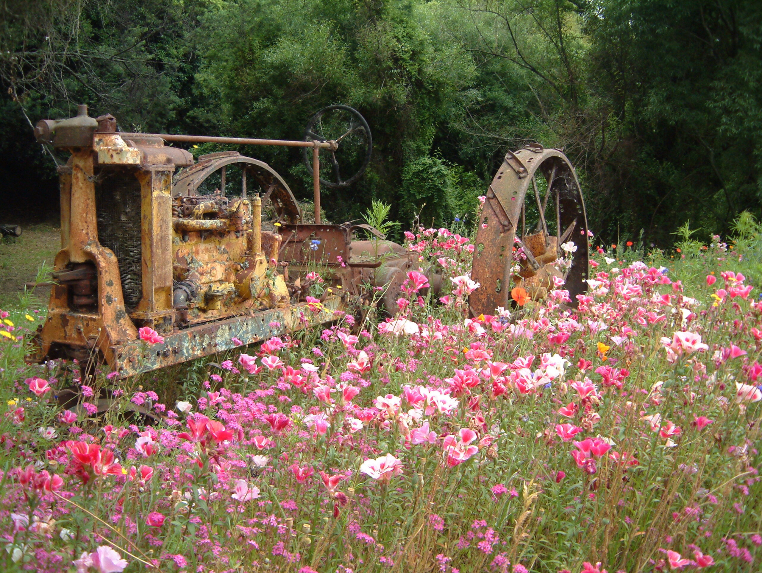 GardenPost & Wildflower World
