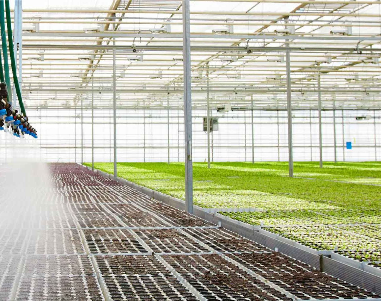 Autogrow