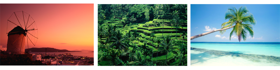 Vincent George Travel