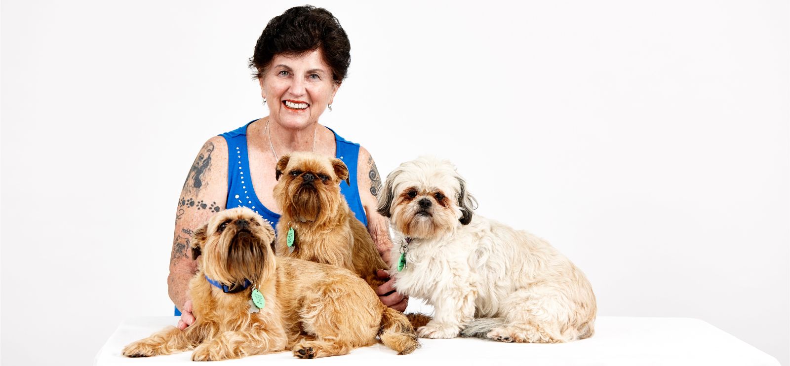 Dog Grooming Auckland by Lucy