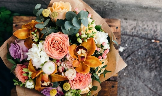Flowers in Dunedin NZ