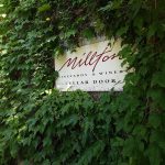 Millton Vineyards & Winery