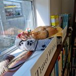 The Clocks Bookshop