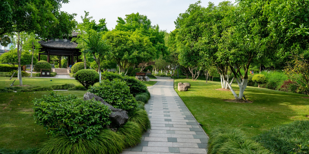 Evergreengroup