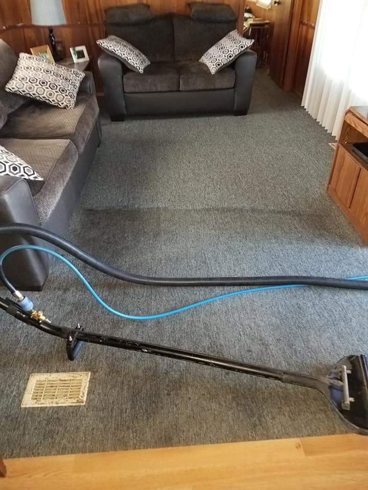 Auckland Carpet Cleaners