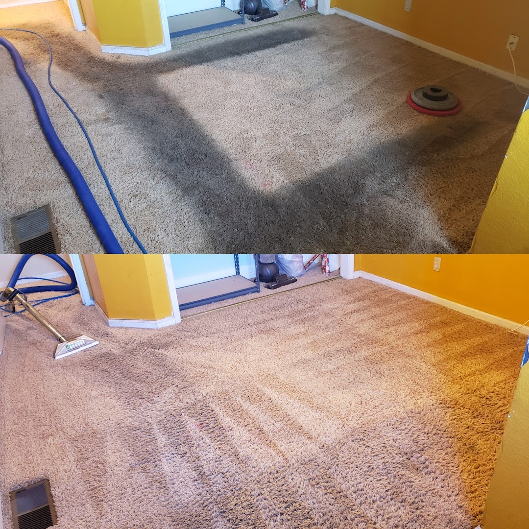 Carpet Cleaners Auckland Ltd