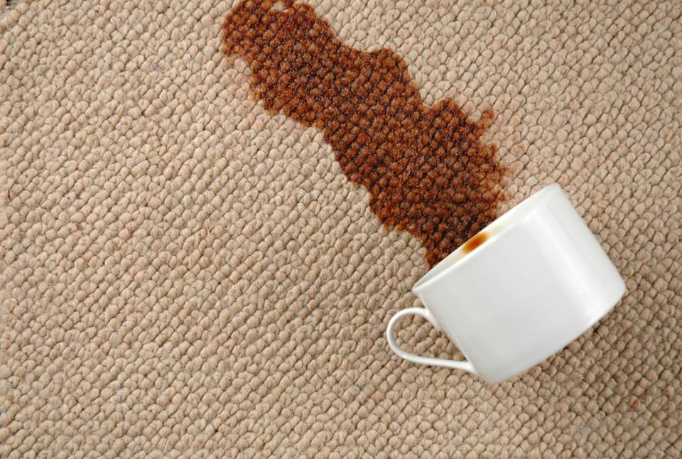 Auckland Cleaning Services