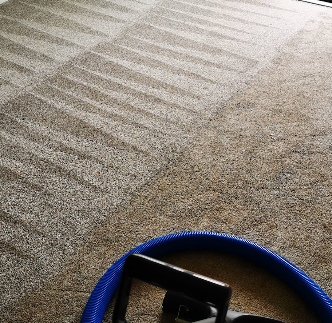 Klever Carpet Cleaning East Auckland