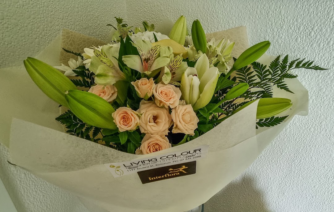 Living Colour Florist