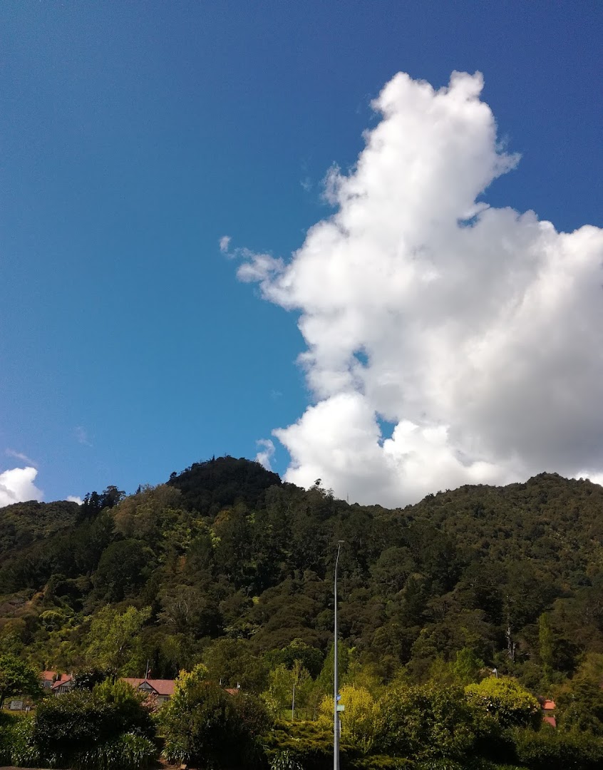 Te Aroha Plunket Clinic