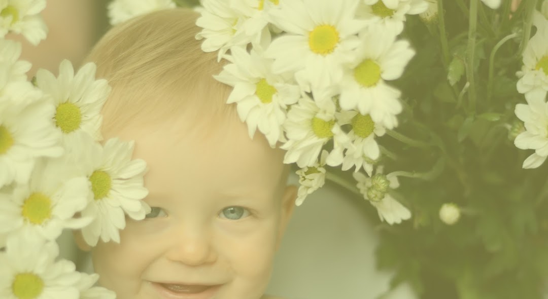Daisies Early Education & Care Centre