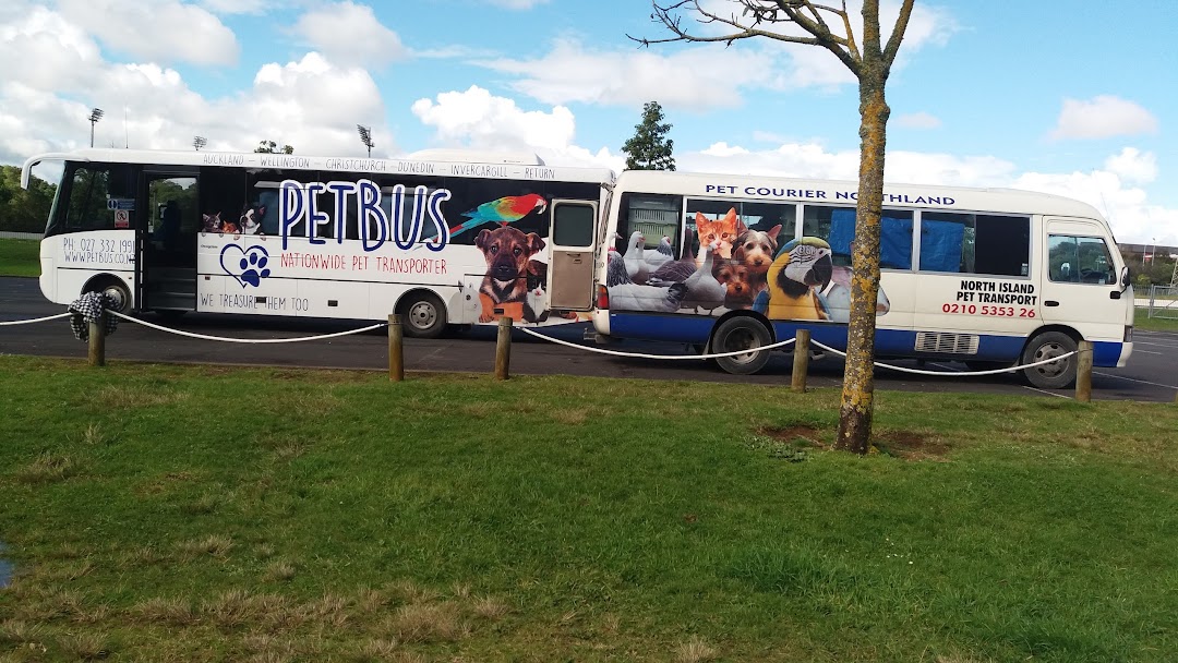 Petbus Limited