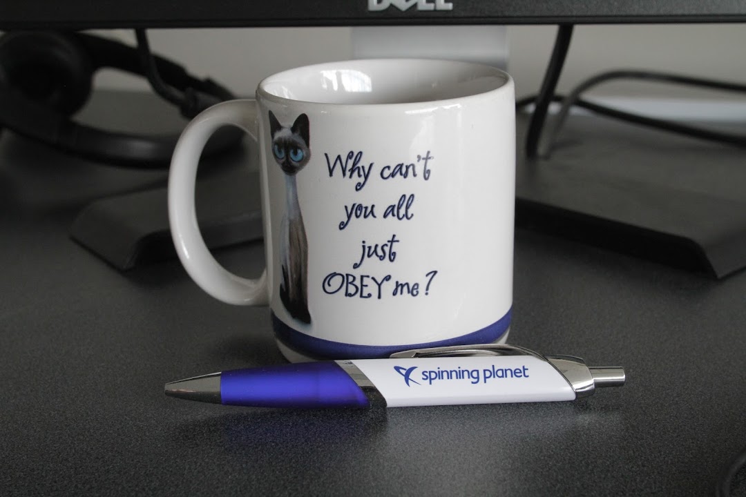 Spinning Planet Web Design and Internet Marketing