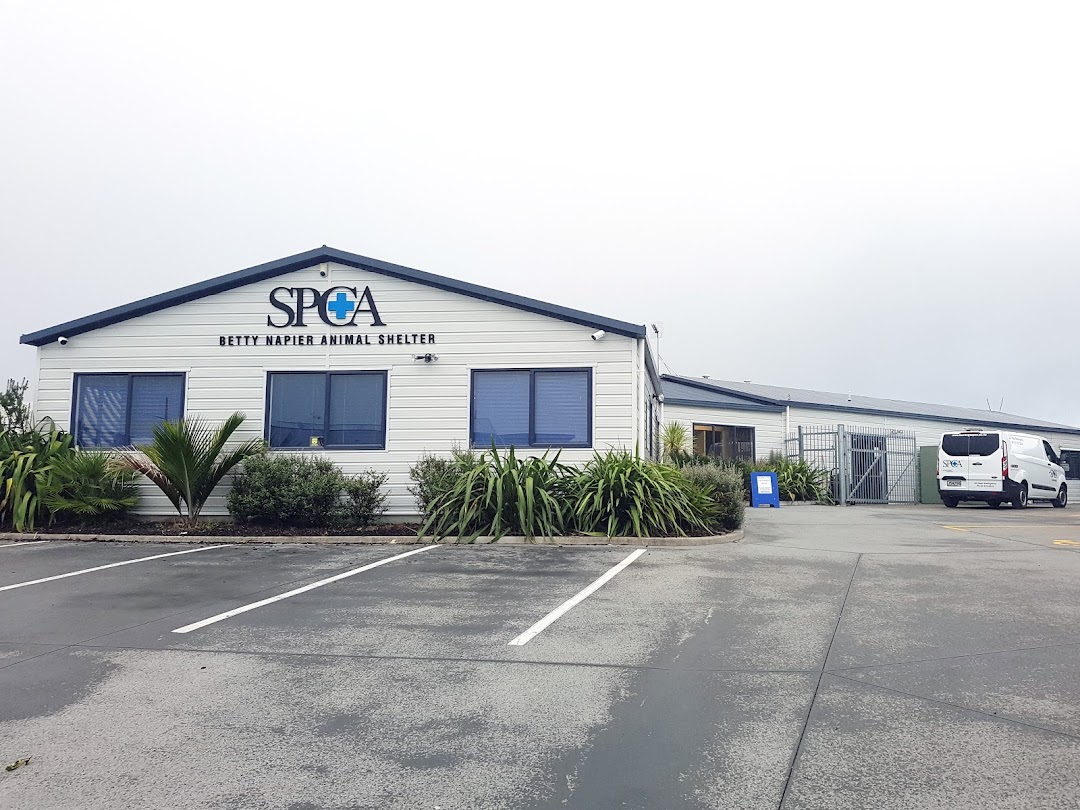 SPCA Tauranga Centre