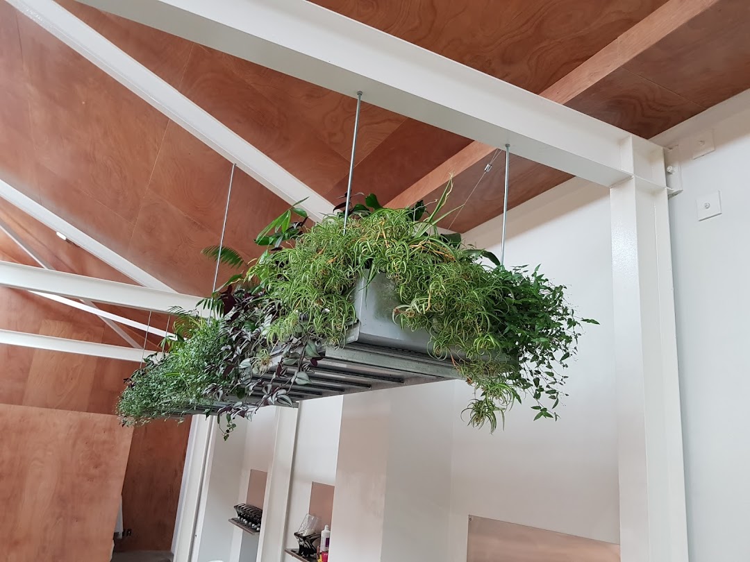 Florax Indoor Plants
