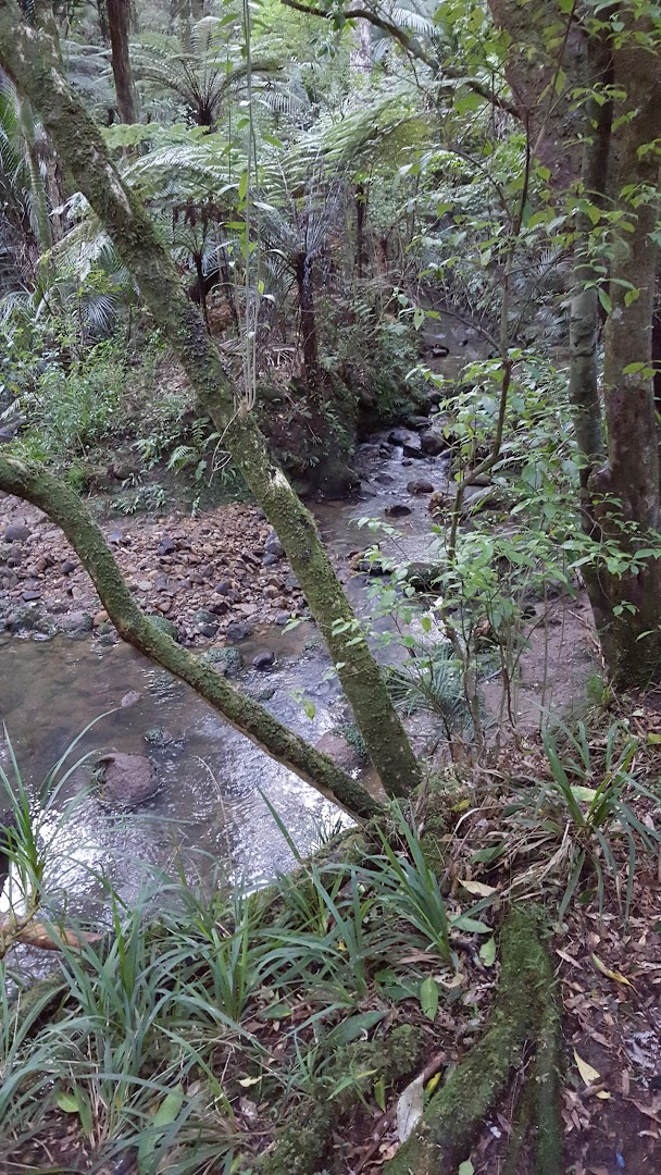 Beaufords In Totara Park