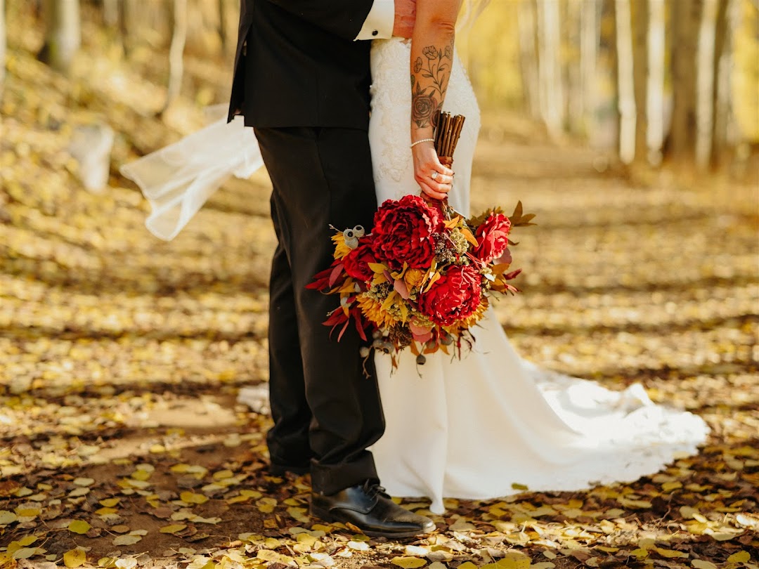 Francis Sylvest | Elopement & Wedding Photographer + Videographer