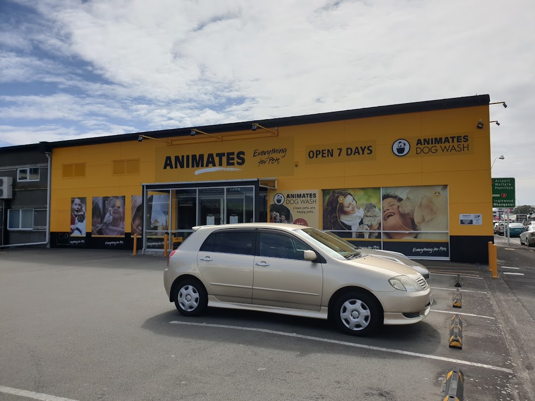Animates New Plymouth