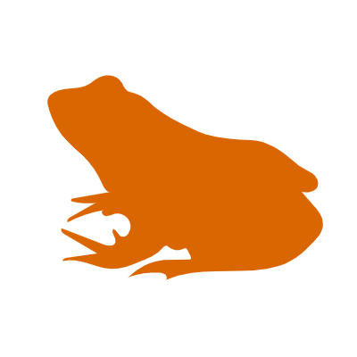 BlueFrog Digital | Digital Marketing Agency NZ