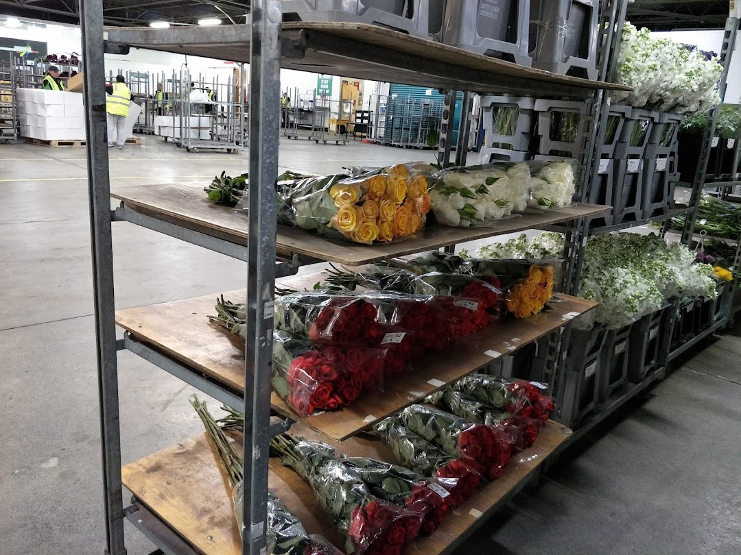 United Flower Growers Auckland
