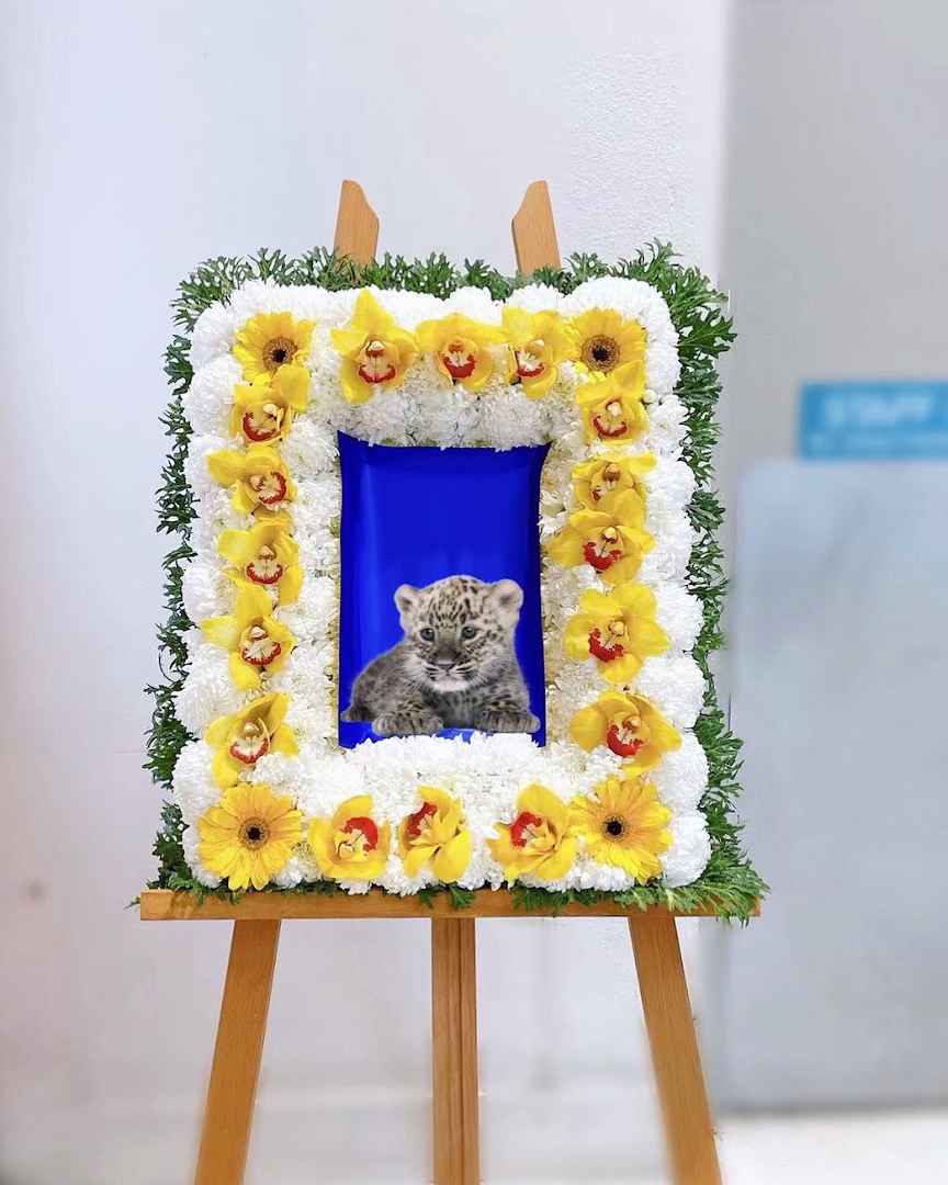 Matan Florist Sylvia Park Store