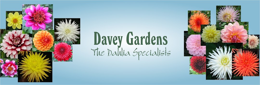 Davey Gardens